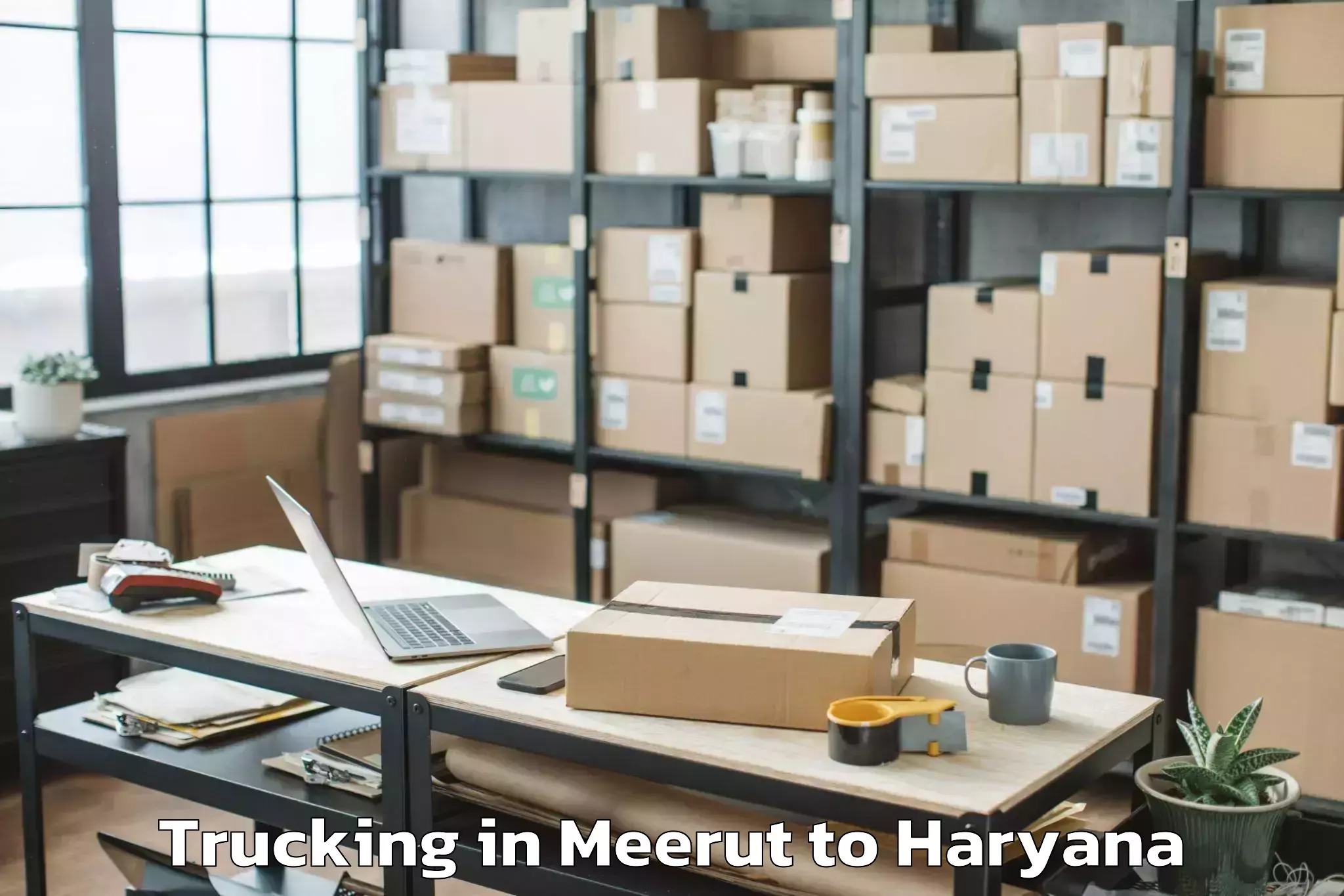 Affordable Meerut to Tauru Trucking